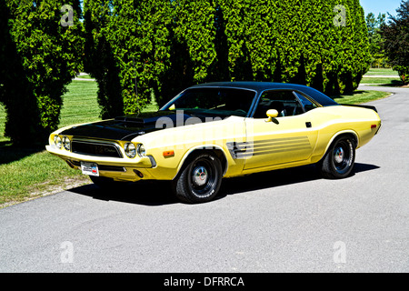 1974 Dodge Challenger jaune et noir sur le pavé Banque D'Images