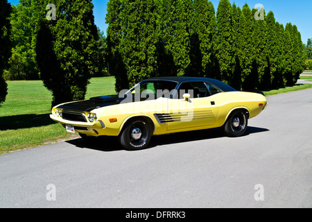 1974 Dodge Challenger jaune et noir sur le pavé Banque D'Images