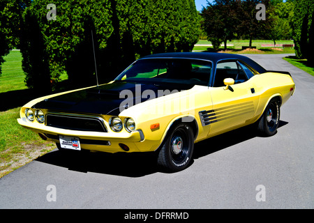 1974 Dodge Challenger jaune et noir sur le pavé Banque D'Images