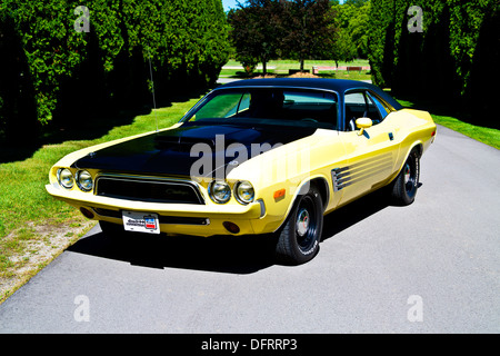 1974 Dodge Challenger jaune et noir sur le pavé Banque D'Images