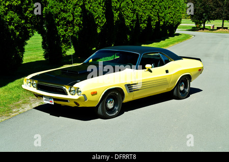 1974 Dodge Challenger jaune et noir sur le pavé Banque D'Images