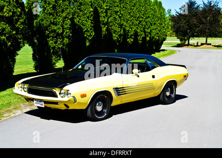 1974 Dodge Challenger jaune et noir sur le pavé Banque D'Images