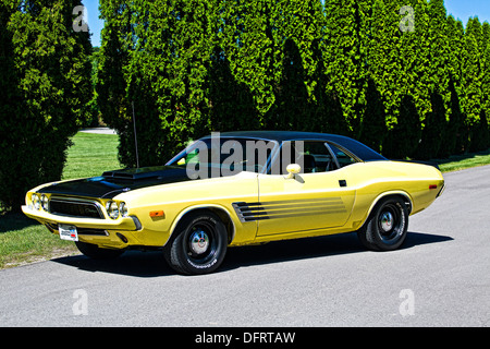 1974 Dodge Challenger jaune et noir sur le pavé Banque D'Images