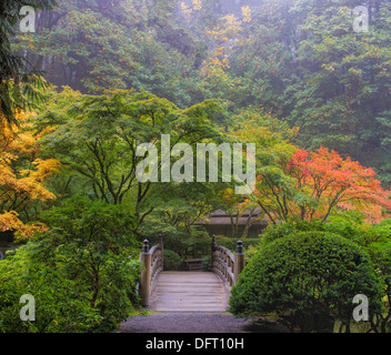 Matin brumeux en jardin japonais avec pied en bois pont pendant la saison d'automne Banque D'Images