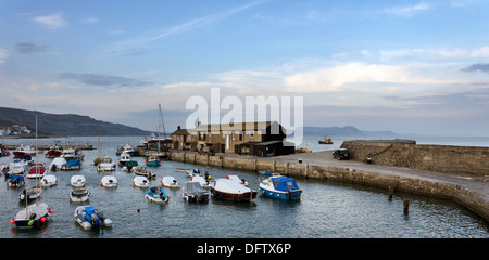 Le port de Lyme Regis un petit port de pêche sur la côte jurassique du Dorset Banque D'Images