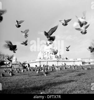 Un troupeau de pigeons est représenté volant dans l'avant de la basilique du Sacré-Cœur de Montmartre à Paris, France, en novembre 1970. La basilique est située sur la colline de Montmartre. Photo : Wilfried Glienke Banque D'Images