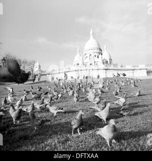 Un troupeau de pigeons est représenté sur une pelouse en face de la basilique du Sacré-Cœur de Montmartre à Paris, France, en novembre 1970. La basilique est située sur la colline de Montmartre. Photo : Wilfried Glienke Banque D'Images