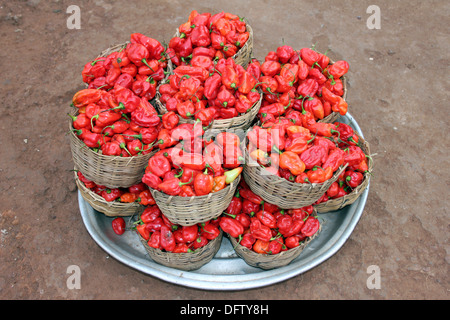 Des tas de piments frais Bell a vendu à un marché ghanéen généralement utilisé pour le rouge-rouge locale plat poivré Banque D'Images