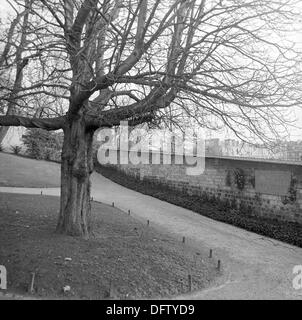 Le Mur de Fédérés Mur des communards) est représenté sur le Père Lachaise, le plus grand cimetière de Paris, France, en novembre 1970. 147 ont été exécutés ici au cours de la lutte de la Commune de Paris en 1871. Le monument est un symbole de la lutte pour de freedoom le peuple et contre la répression de l'état français pour les gauchistes. Sur le cimetière du Père Lachaise, de nombreux personnages historiques célèbres sont enterrés. Photo : Wilfried Glienke Banque D'Images