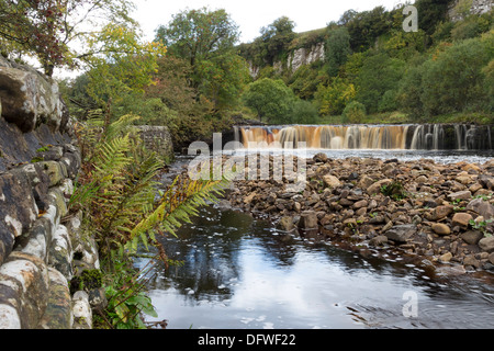 Le Wath Wain vigueur le la rivière Swale Swaledale Yorkshire Dales UK Banque D'Images