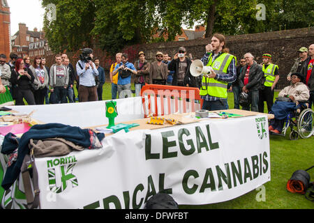 Londres, Royaume-Uni. 09Th Oct, 2013. Une partie de la 100 curieux comme NORML UK manifestation devant le Parlement pour le cannabis La réforme du droit. Crédit : Paul Davey/Alamy Live News Banque D'Images