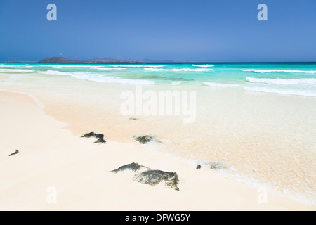 Playa de las Dunas de Corralejo, Fuerteventura, une plage de sable blanc parfait avec de l'eau turquoise et bleu ciel. Banque D'Images