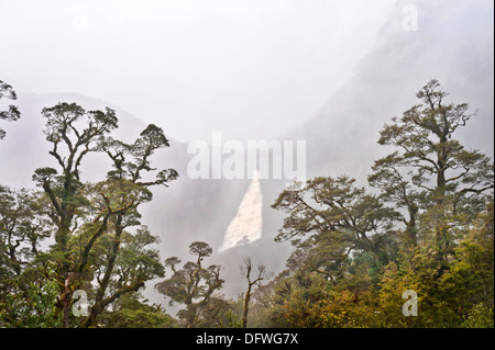 La cascade de Wilmot Pass la brume et la pluie, Fiordland, île du Sud, Parc National, Nouvelle-Zélande Banque D'Images