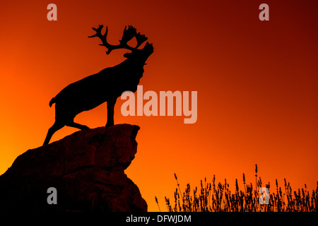 Le caribou des bois d'ossature, terre-neuvien de Beaumont-Hamel, Canadien de la Première Guerre mondiale et un champ de bataille, bataille de la Somme, France Banque D'Images