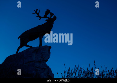 Le caribou des bois d'ossature, terre-neuvien de Beaumont-Hamel, Canadien de la Première Guerre mondiale et un champ de bataille, bataille de la Somme, France Banque D'Images