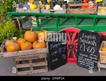 Les citrouilles AUTOMNE English La citrouille et la courge à l'écran de vente avec tableau noir GBP livres les prix britanniques à l'extérieur, en général à une UK farm shop Banque D'Images