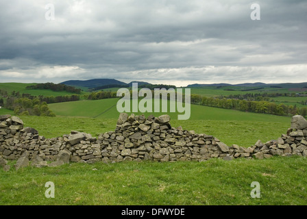 Vieux Newlands, West Linton, Scottish Borders, Scotland, UK, Europe Banque D'Images