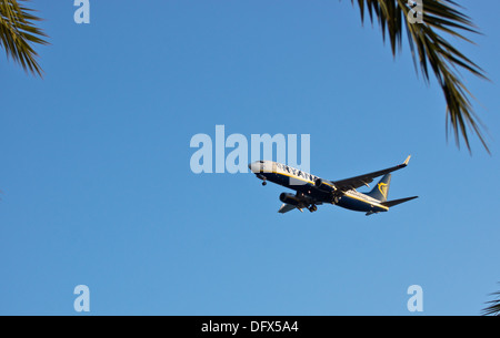 Un Boeing 737-800 Ryainair entrée en terre à l'aéroport de Murcia San Javier avec palm laisser au premier plan Banque D'Images