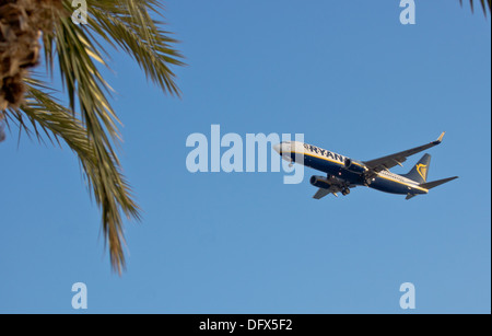 Un Boeing 737-800 Ryainair entrée en terre à l'aéroport de Murcia San Javier avec palm laisser au premier plan Banque D'Images