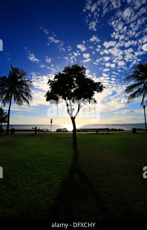 HONOLULU, Hawaï, 7 octobre 2013. Belle vue de l'après-midi d'un parc public en front de mer à Waikiki, Honolulu, Oahu, Hawaii. Banque D'Images