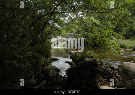 Fingle bridge le 17e siècle trois fenêtres cintrées à cheval le pont de la rivière Teign près de Drewsteignton, Devon Banque D'Images