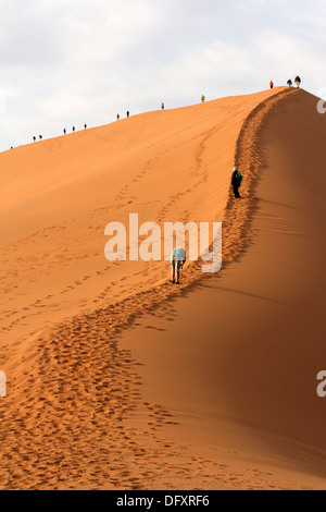 Les touristes de grimper le célèbre Sossusvlei Dune 45 dans le désert du Namib, Namibie. Banque D'Images