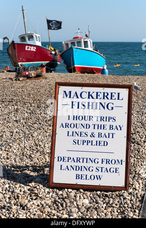 Voyages de pêche du maquereau annoncés sur la plage à Beer, Devon, Angleterre, Royaume-Uni. Banque D'Images