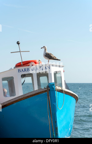 Bateaux de pêche sur la plage à Beer, Devon, Angleterre, Royaume-Uni. Banque D'Images