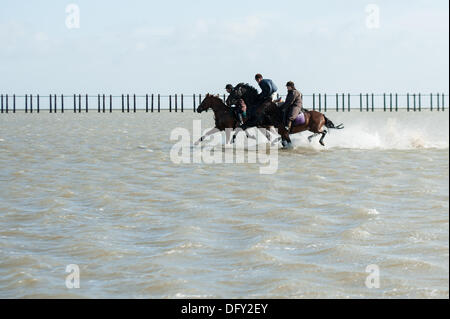 Maplin Sands, Shoeburyness, Essex. 10 Oct, 2013. Même avec des coups de vent prévu, trois pilotes ont apporté leurs chevaux de Burnham on Crouch à exécuter sur la Maplin Sands à marée basse. Le crisp sec vent faite pour une balade revigorante. Crédit : La Farandole Stock Photo/Alamy Live News Banque D'Images