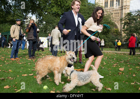 Londres, Royaume-Uni. Jeudi 10 octobre 2013. Eric Joyce MP et son Wheaten Terrier irlandais, Brodie, se bat avec un autre chien. Les députés et leurs chiens en compétition dans la Westminster Dog de l'année concurrence célèbre le lien unique entre l'homme et le chien - et vise à favoriser la gestion responsable des propriétaires de chiens. Crédit : Michael Kemp/Alamy Live News Banque D'Images