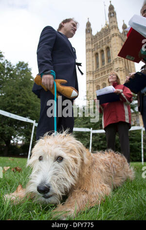 Londres, Royaume-Uni. Jeudi 10 octobre 2013. Eric Joyce MP et son Wheaten Terrier irlandais, Brodie, parler avec les juges. Les députés et leurs chiens en compétition dans la Westminster Dog de l'année concurrence célèbre le lien unique entre l'homme et le chien - et vise à favoriser la gestion responsable des propriétaires de chiens. Crédit : Michael Kemp/Alamy Live News Banque D'Images