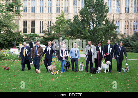 Londres, Royaume-Uni. Jeudi 10 octobre 2013. Les députés et leurs chiens en compétition dans la Westminster Dog de l'année concurrence célèbre le lien unique entre l'homme et le chien - et vise à favoriser la gestion responsable des propriétaires de chiens. Crédit : Michael Kemp/Alamy Live News Banque D'Images