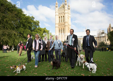 Londres, Royaume-Uni. Jeudi 10 octobre 2013. Les députés et leurs chiens en compétition dans la Westminster Dog de l'année concurrence célèbre le lien unique entre l'homme et le chien - et vise à favoriser la gestion responsable des propriétaires de chiens. Crédit : Michael Kemp/Alamy Live News Banque D'Images