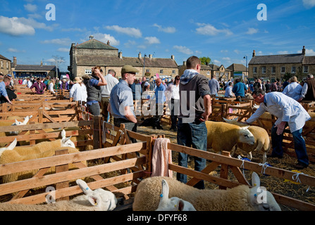 Agriculteur exposant des moutons Cheviot à la foire annuelle des moutons Masham village North Yorkshire Dales Angleterre Royaume-Uni GB Grande-Bretagne Banque D'Images