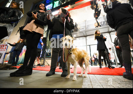 Manchester, UK . 10 Oct, 2013. Le groupe de protestation des militants du CAFT (la Coalition pour l'abolition de la traite des fourrures) distribuer de la documentation à l'extérieur du magasin Harvey Nichols de Manchester dans la nuit du Vogue fashion's Night Out dans le centre-ville. Harvey Nichols est une des villes où le groupe réclamation sont toujours en vente les vêtements de fourrure véritable. Credit : Russell Hart/Alamy Live News. Banque D'Images