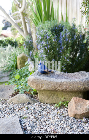 Un petit oiseau bleu statue dans un jardin Banque D'Images