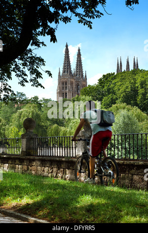 Cycliste urbain dans des sentiers de vélo avec Burgos Cathédrale gothique en arrière-plan, Burgos, Castille et Leon. Espagne Banque D'Images