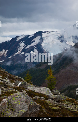 Scène de montagne près de Cobalt Lake dans le parc provincial de Bugaboo, C.-B. Canada Banque D'Images