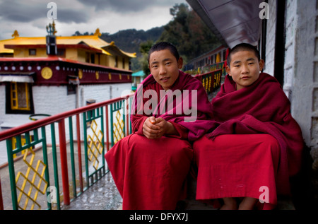 Les moines, en boîtiers DIP Tse Chok Ling Monastery.McLeod Ganj, Dharamsala, Himachal Pradesh, Inde, Asie Banque D'Images