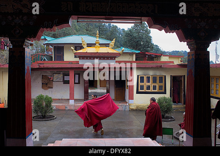 Les moines, en boîtiers DIP Tse Chok Ling Monastery.McLeod Ganj, Dharamsala, Himachal Pradesh, Inde, Asie Banque D'Images