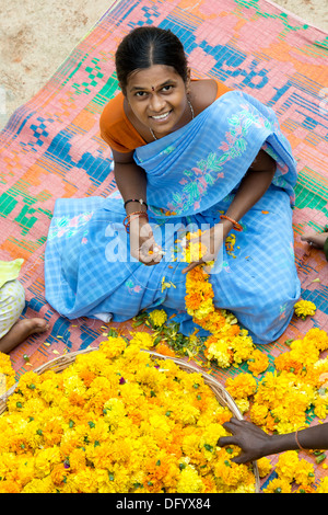 Village de l'Inde rurale femme assise autour d'un panier de fleurs de souci de faire des guirlandes de fleurs. L'Andhra Pradesh, Inde Banque D'Images