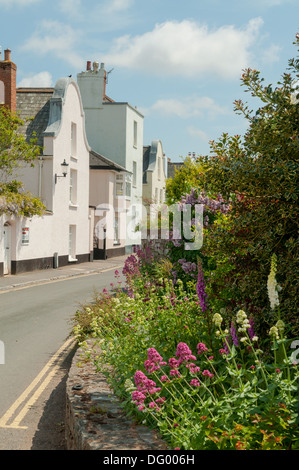 Ruelle de Topsham, Devon, Angleterre Banque D'Images