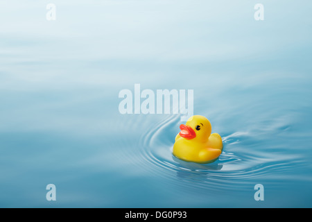 Canard en caoutchouc jaune natation sur l'eau provoquant des vagues et ondulations Banque D'Images