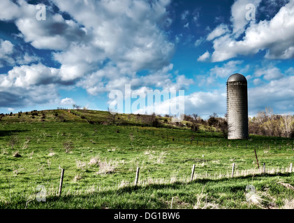 Cette image a été prise dans le comté de Madison de l'Iowa. L'image montre d'un pâturage vert vif avec un silo classique. Banque D'Images