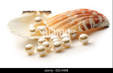 Perles en coquillage blanc Diffusion Banque D'Images