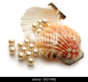 Perles en coquillage blanc Diffusion Banque D'Images