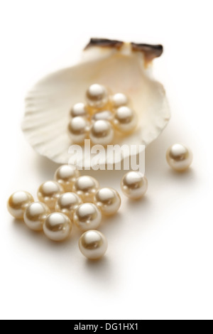 Perles en coquillage blanc Diffusion Banque D'Images