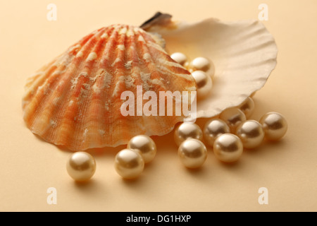 Perles en coquillage blanc Diffusion Banque D'Images