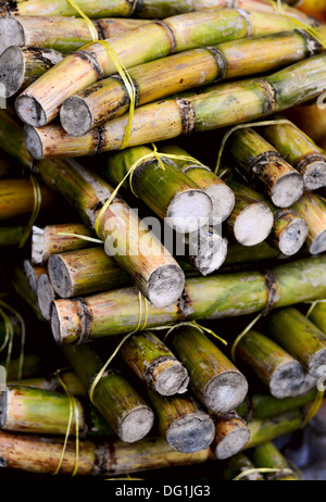 La photo en gros plan d'un empilement de bâtons de canne à sucre Banque D'Images