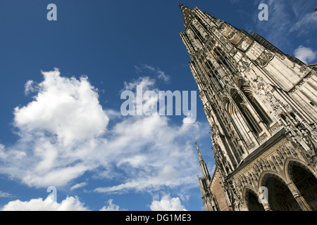 Ulm Minster, clocher d'église le plus grand du monde, l'Allemagne, Bade-Wurtemberg Banque D'Images